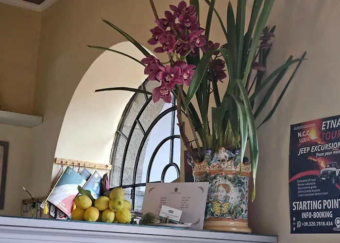 埃特纳酒店 酒店 3*