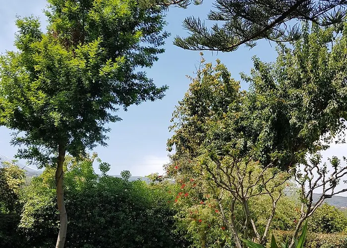 酒店 埃特纳酒店 加里