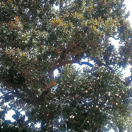 Hotel Etna Giarre